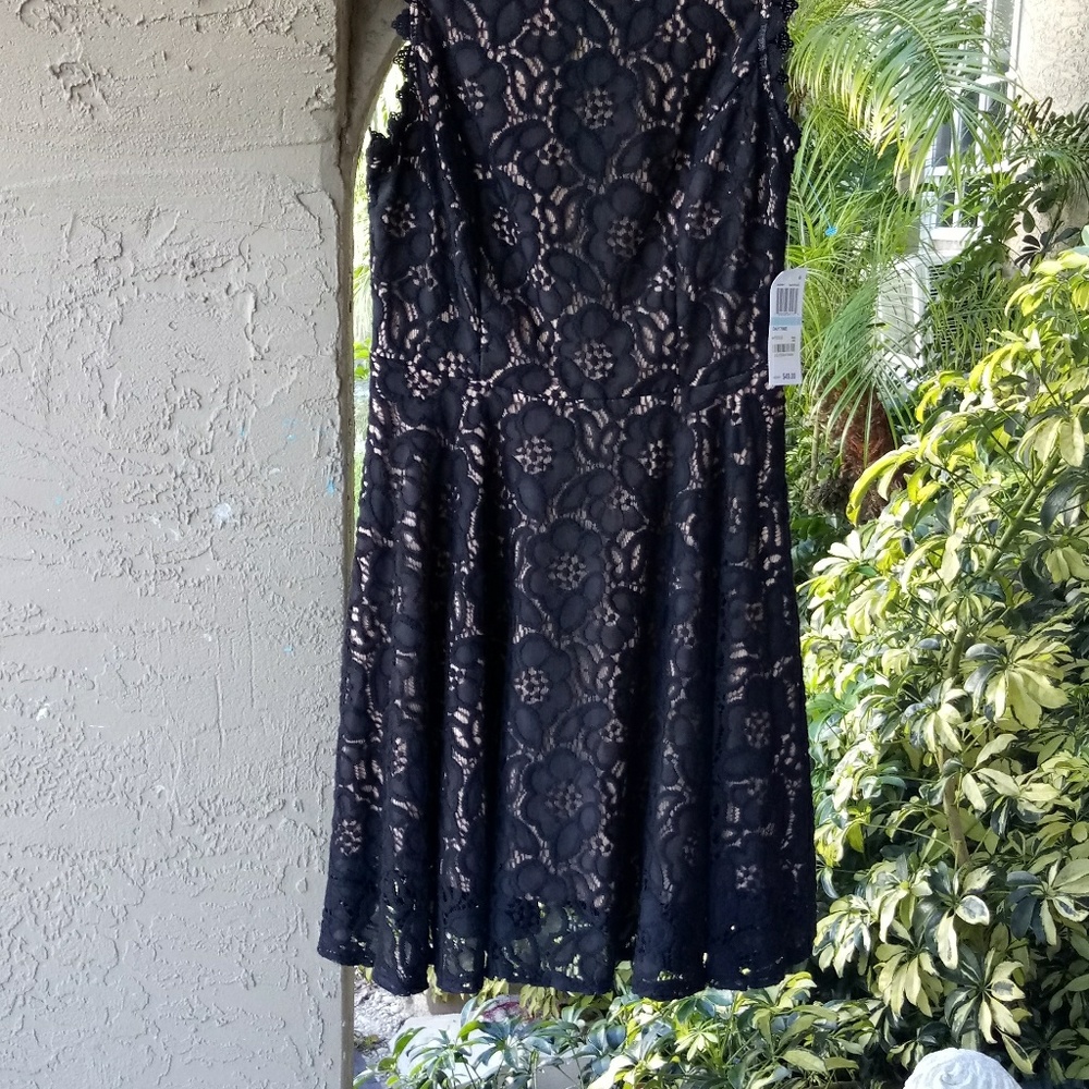 City Studio Dress - Picture 6 of 6